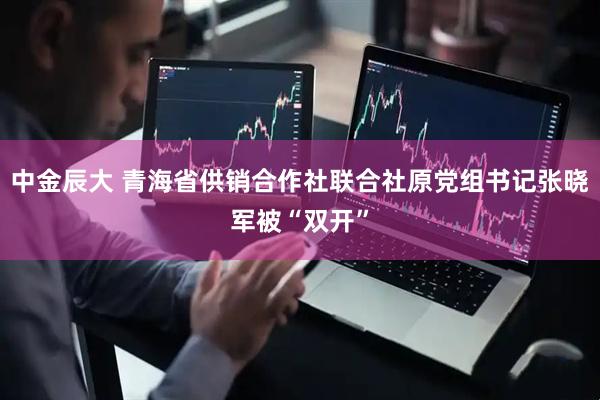 中金辰大 青海省供销合作社联合社原党组书记张晓军被“双开”