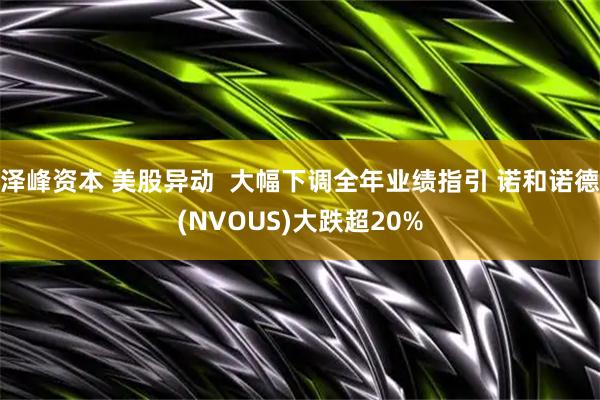 泽峰资本 美股异动  大幅下调全年业绩指引 诺和诺德(NVOUS)大跌超20%