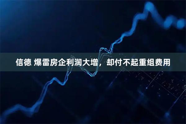 信德 爆雷房企利润大增，却付不起重组费用