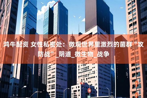 鸿牛配资 女性私密处：微观世界里激烈的菌群“攻防战”_阴道_微生物_战争